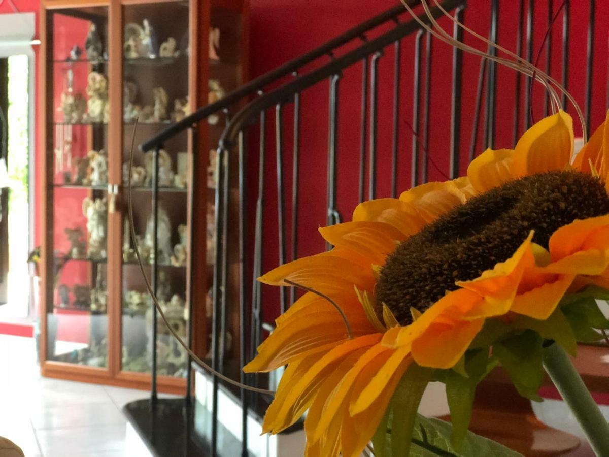 El Nur Bed & Breakfast San Vito Lo Capo Esterno foto