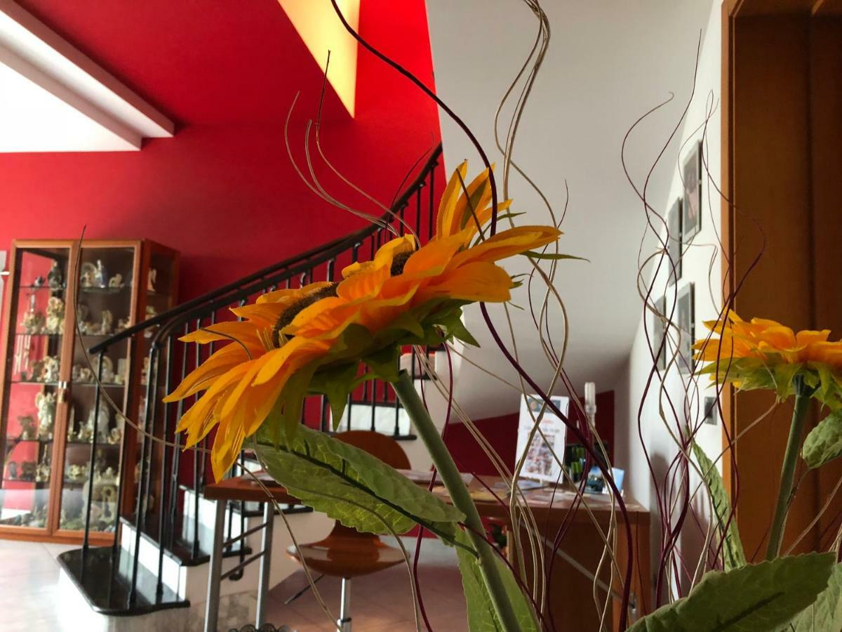 El Nur Bed & Breakfast San Vito Lo Capo Esterno foto