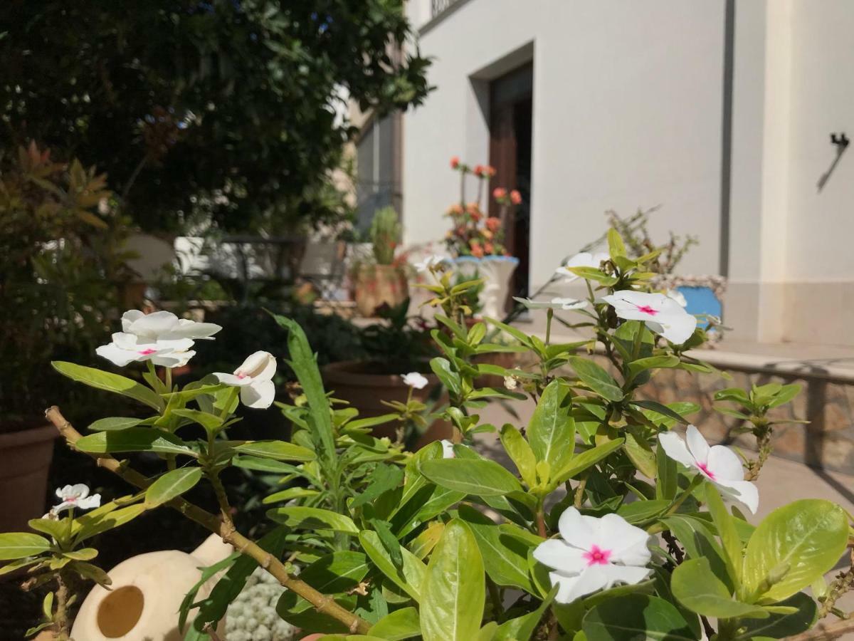 El Nur Bed & Breakfast San Vito Lo Capo Esterno foto